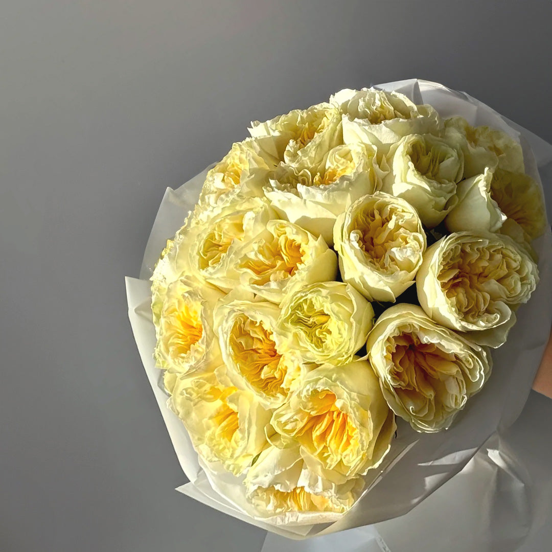 Golden Garden – Yellow Garden Roses