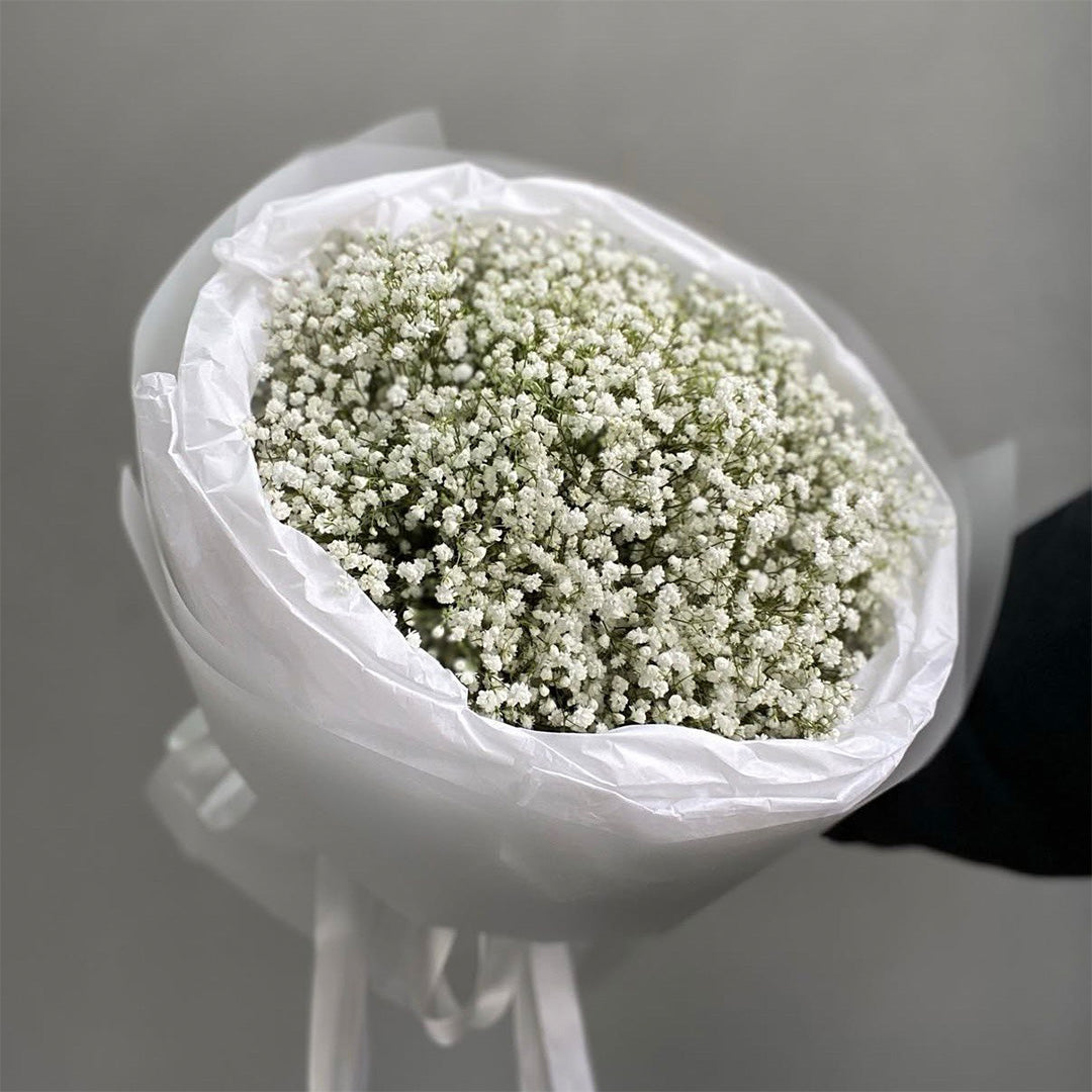 Cloudlight – Baby’s Breath Bouquet