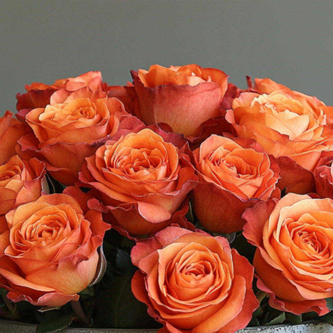 Close-up of a vibrant bouquet of orange roses arranged in a round vase, capturing their lush and colorful beauty.