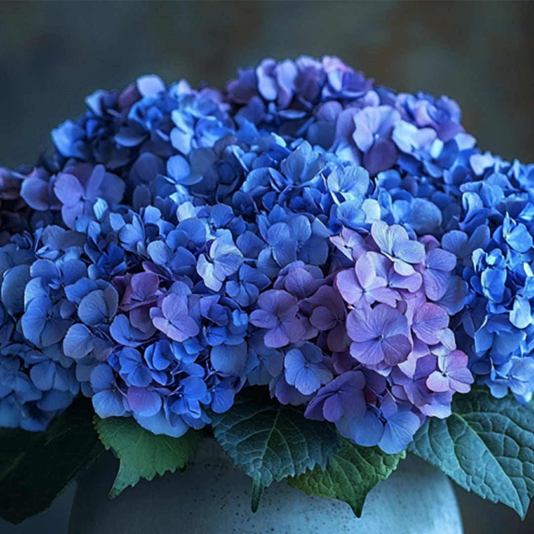Lush blue and violet hydrangea blooms in full elegance, arranged in a stone-textured vase — a bold and serene centerpiece from Flowers Lounge by Iness, perfect for upscale gifts, modern interiors, or refined event decor