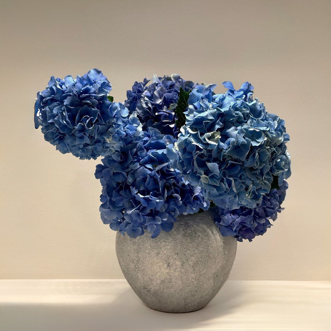 Vibrant blue hydrangea bouquet arranged in a sleek modern vase, offering a serene and elegant floral centerpiece, perfect for weddings, anniversaries, or enhancing home decor.