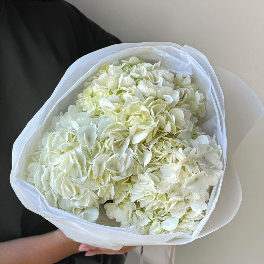 Elegant white hydrangea bouquet wrapped in premium paper, perfect for luxury gifts, weddings, and sophisticated events, offering a pure and timeless floral arrangement.
