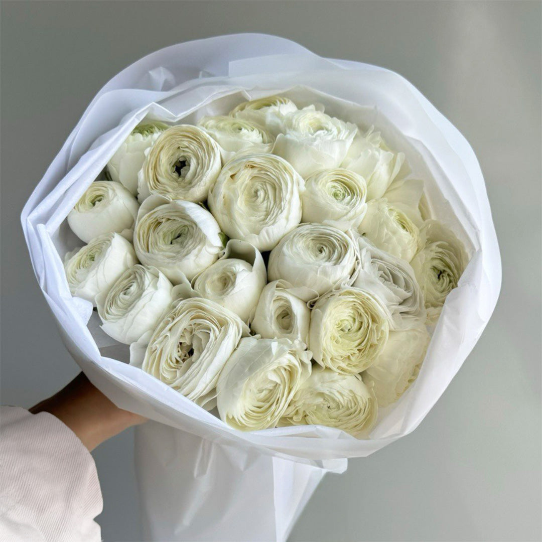 A delicate bouquet of white ranunculus flowers, their petals tightly wound in elegant spirals. The flowers are arranged neatly and tightly together, wrapped in crisp white tissue paper, creating a soft and classic look.