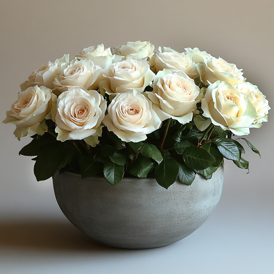 Elegant arrangement of fresh white roses in a gray round vase, with lush green leaves surrounding the blooms, creating a serene and sophisticated floral display.