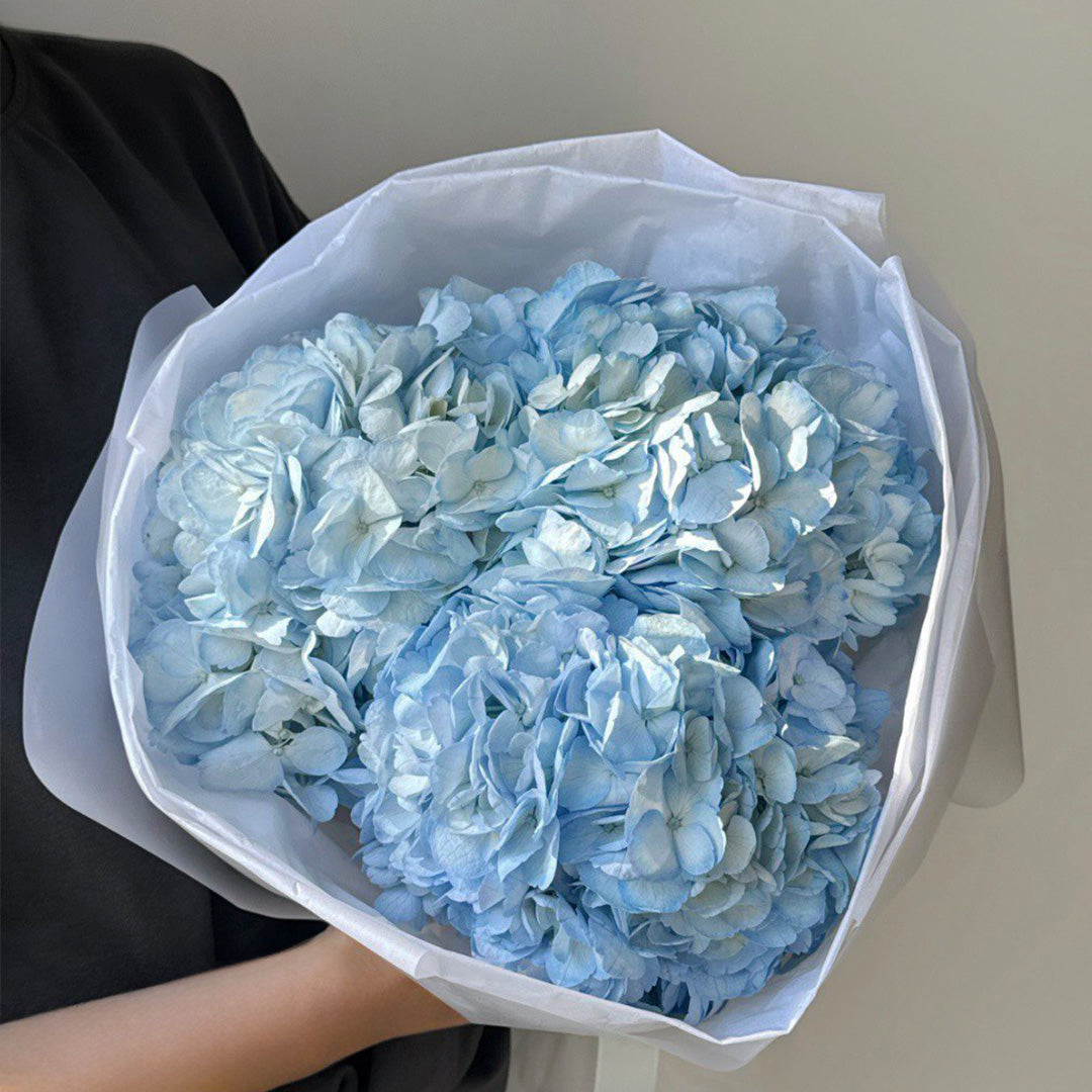 Delicate blue hydrangea bouquet wrapped in premium paper, perfect for special occasions like birthdays, weddings, or as a thoughtful gift to brighten someone’s day