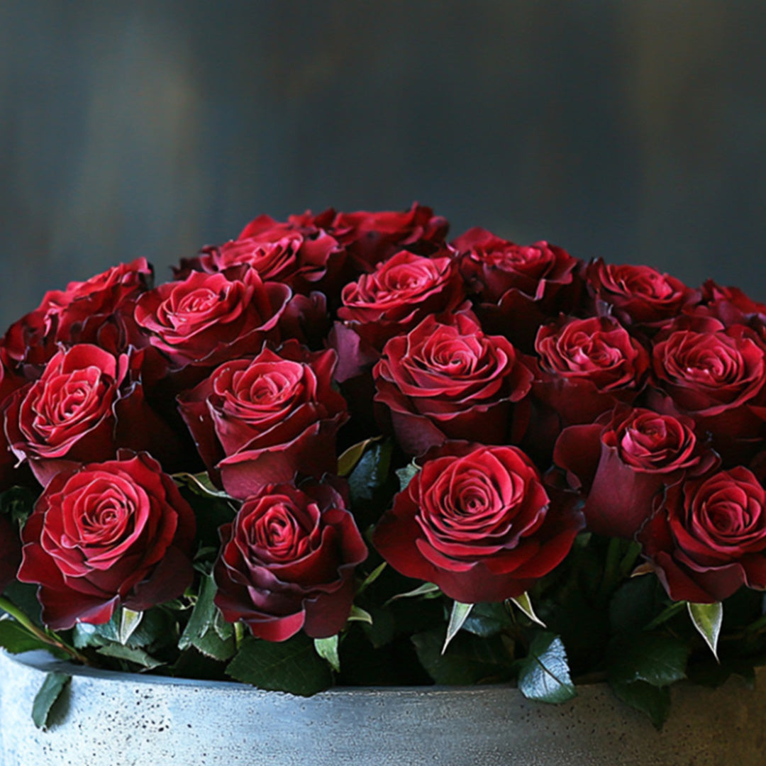 A luxurious bouquet of velvety red roses arranged beautifully in a modern vase, showcasing a rich, full bloom and vibrant green leaves.