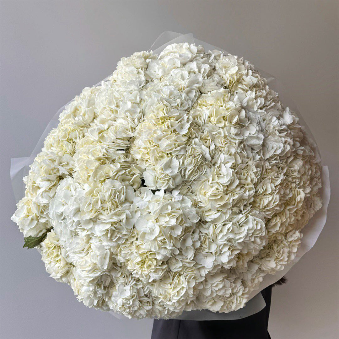 A beautiful bouquet of white hydrangeas, arranged in a lush, full round shape, wrapped delicately in white paper. The bouquet radiates elegance, perfect for a range of special occasions.