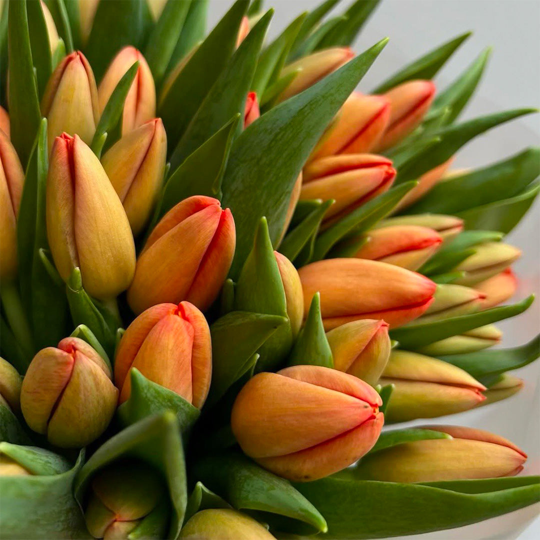 Sunset Charm Tulip Bouquet