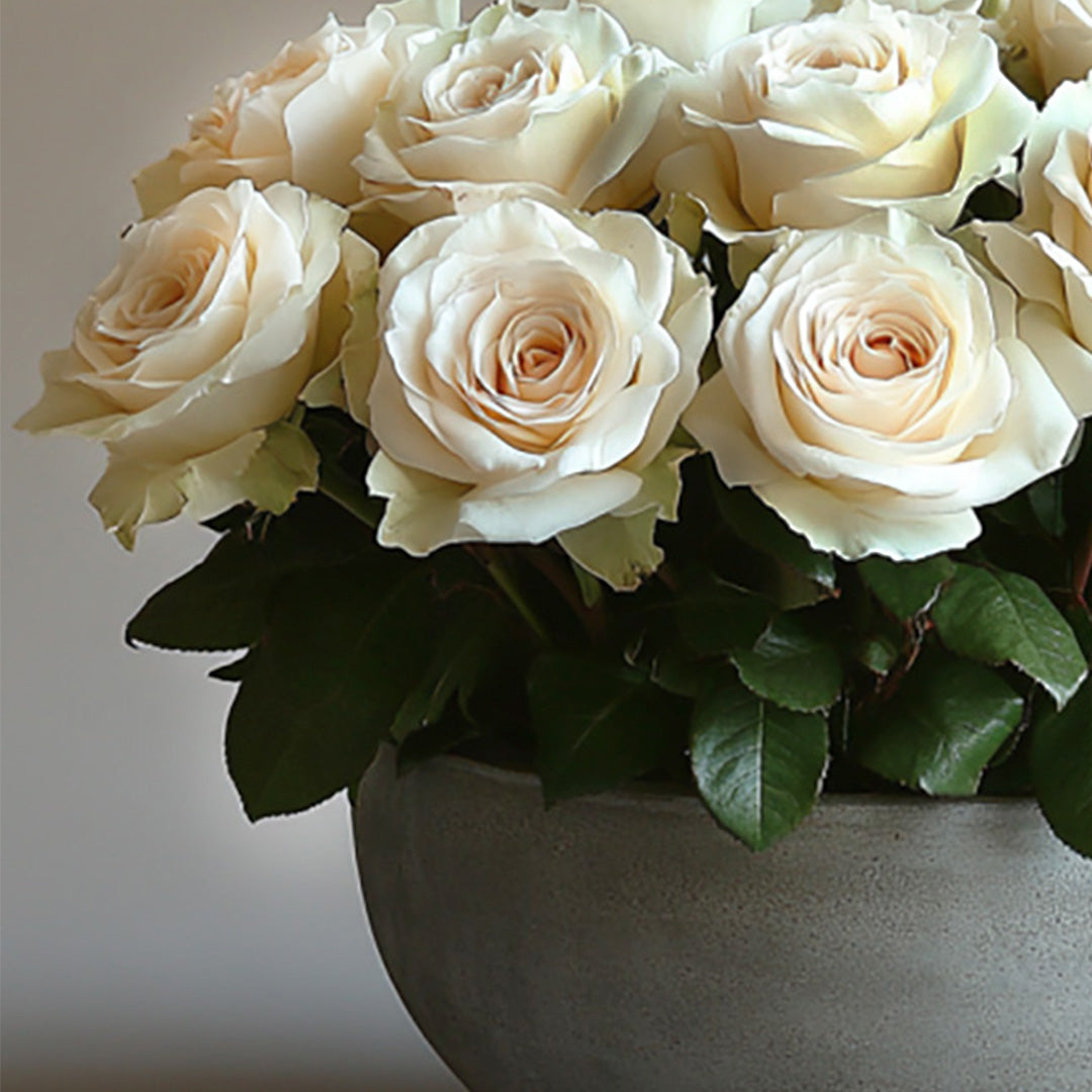 Elegant white rose bouquet arranged in a modern grey ceramic vase.