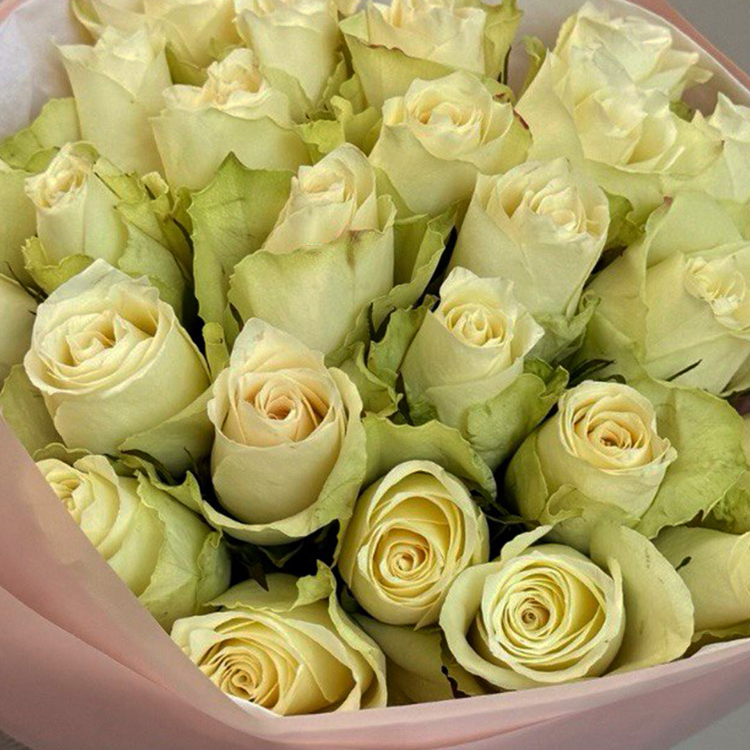 A close-up of a bouquet of fresh pale greenish-white roses, arranged neatly in a circular fashion. The roses are wrapped in soft pink paper, creating a delicate and elegant presentation, with their soft petals gently overlapping.