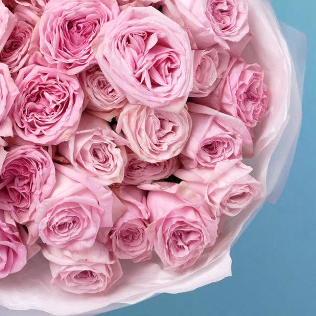 Elegant bouquet of pink garden roses wrapped in white paper – handcrafted flower arrangement for delivery in Burbank and Los Angeles by Flowers Lounge by Iness