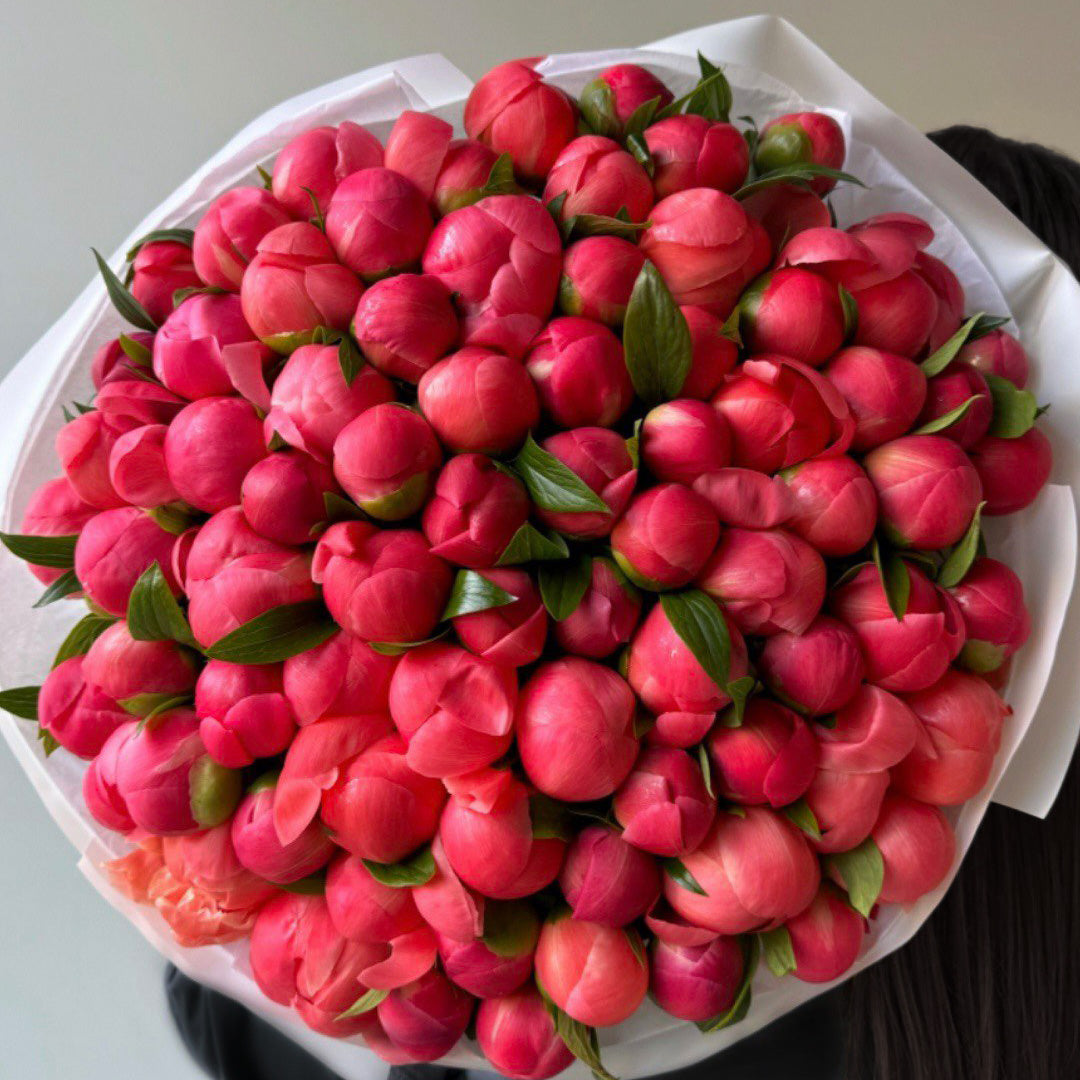 A vibrant bouquet of tightly packed pink peonies with their soft buds just beginning to open. The flowers are surrounded by fresh green leaves, showcasing the peoniesβ lush and colorful blooms. The bouquet is wrapped in white paper, giving it an elegant and classic look.