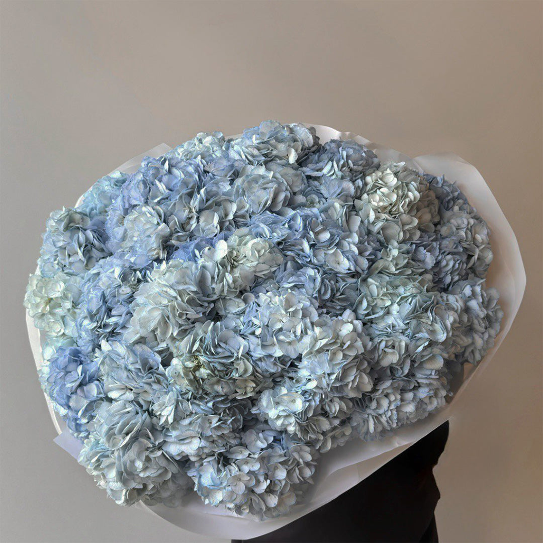 A large, luxurious bouquet of blue hydrangeas wrapped in crisp white paper, creating an elegant and sophisticated floral gift, ideal for special occasions or as a beautiful home decoration.