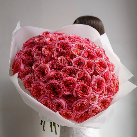 Soft Bloom – 100 Garden Roses