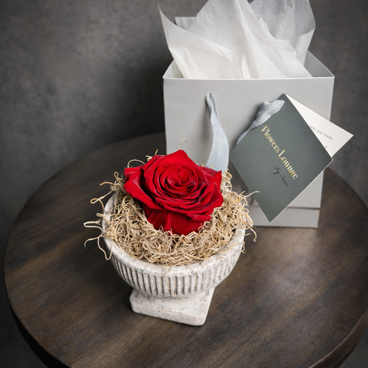 Timeless Red – Preserved Rose Vase