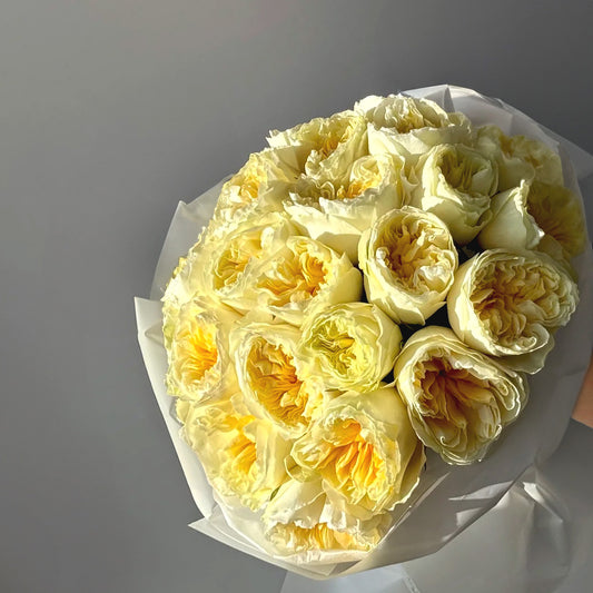 Golden Garden – Yellow Garden Roses