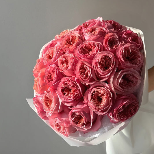 Soft Bloom – Pink Garden Roses