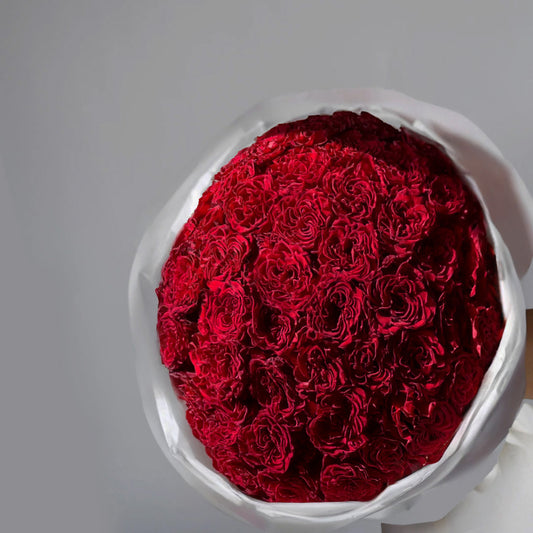 Heartfelt Bloom – Garden Roses