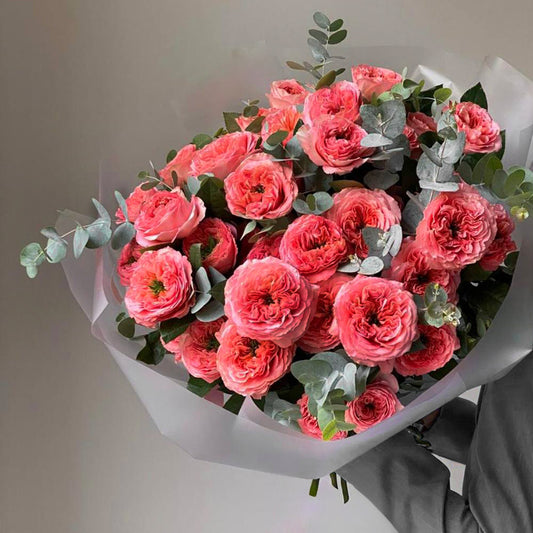 Blush Majesty – 50 Premium Garden Roses