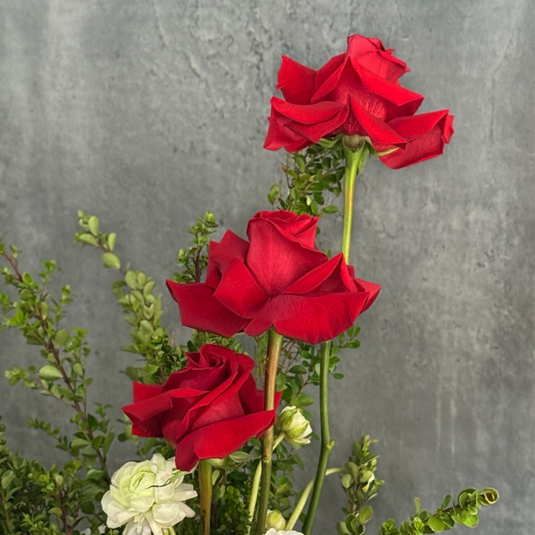 A close-up of three elegant red roses surrounded by fresh greenery and soft white filler flowers, showcasing luxury floral design. A perfect gift for romantic occasions, anniversaries, or to express love and affection.