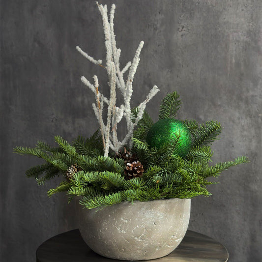 Frosted Evergreen Elegance