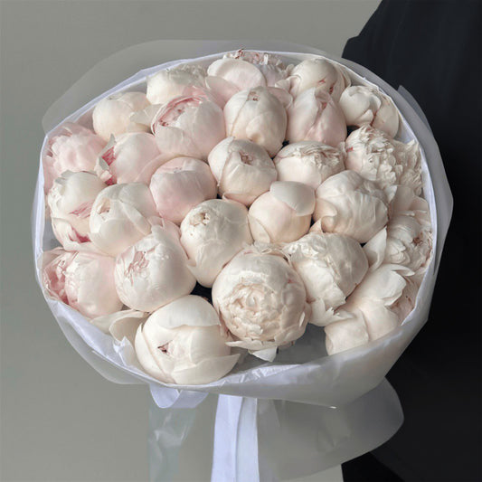 A fresh, elegant bouquet of white peonies, tightly wrapped in soft, translucent paper and tied with a white ribbon. The peonies are in their closed buds, hinting at their full bloom, with delicate soft pink edges peeking through, creating a serene and delicate look.