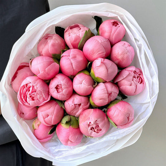 A fresh and beautiful bouquet of pink peonies with soft, round buds. The flowers are arranged tightly, showcasing their natural beauty, wrapped in clean white tissue paper, with green foliage subtly peeking out from the base