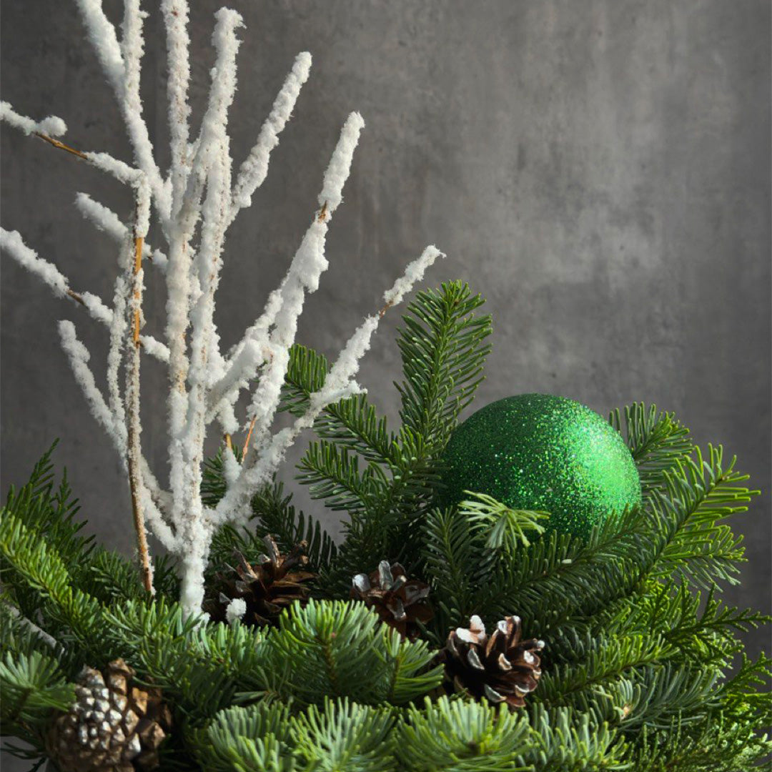 Frosted Evergreen Elegance