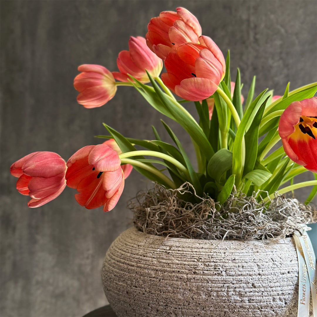 Peach tulips arranged in a stone planter by Flowers Lounge by Iness. This stunning floral display adds elegance and sophistication, perfect for gifting or decorating your home with seasonal beauty.