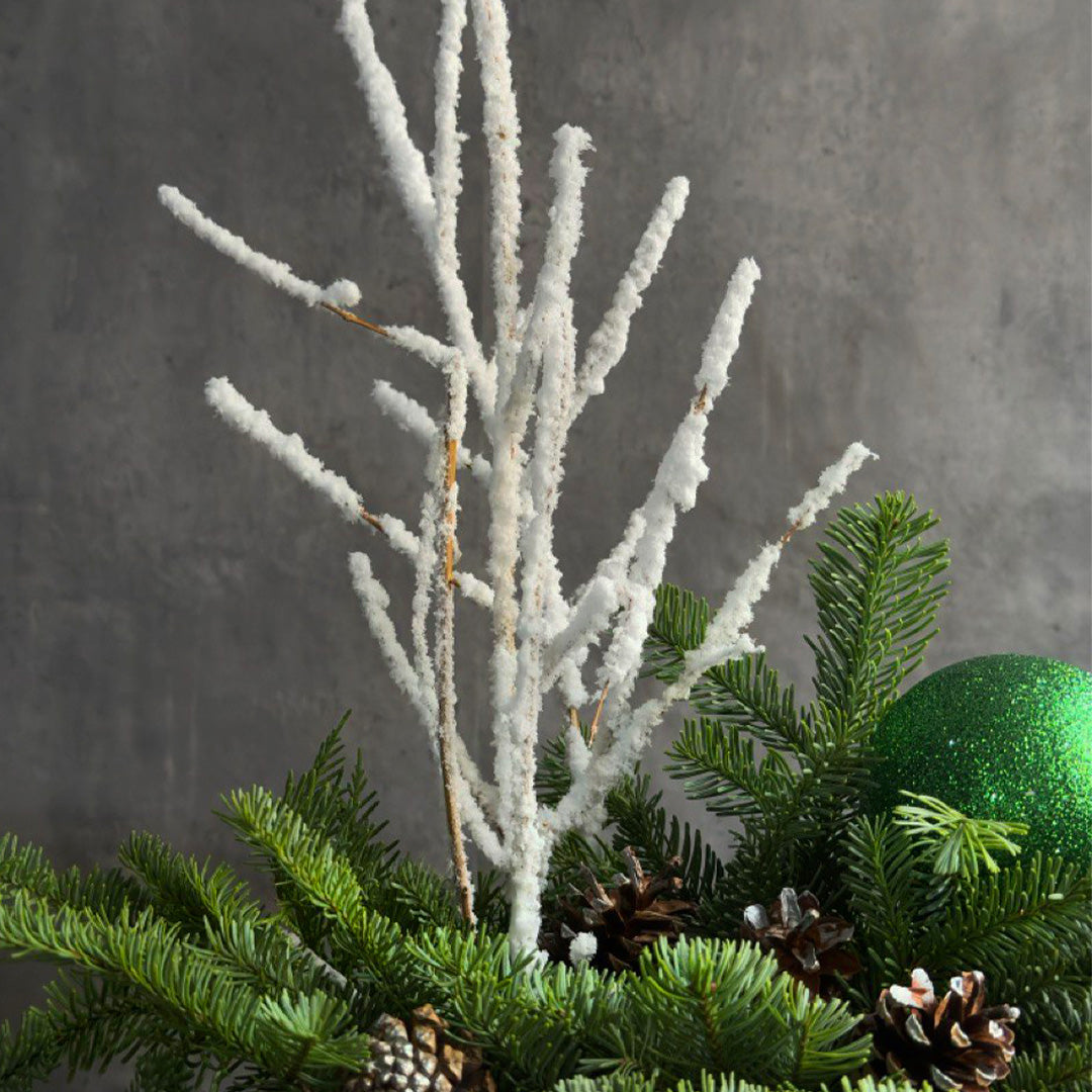 Frosted Evergreen Elegance