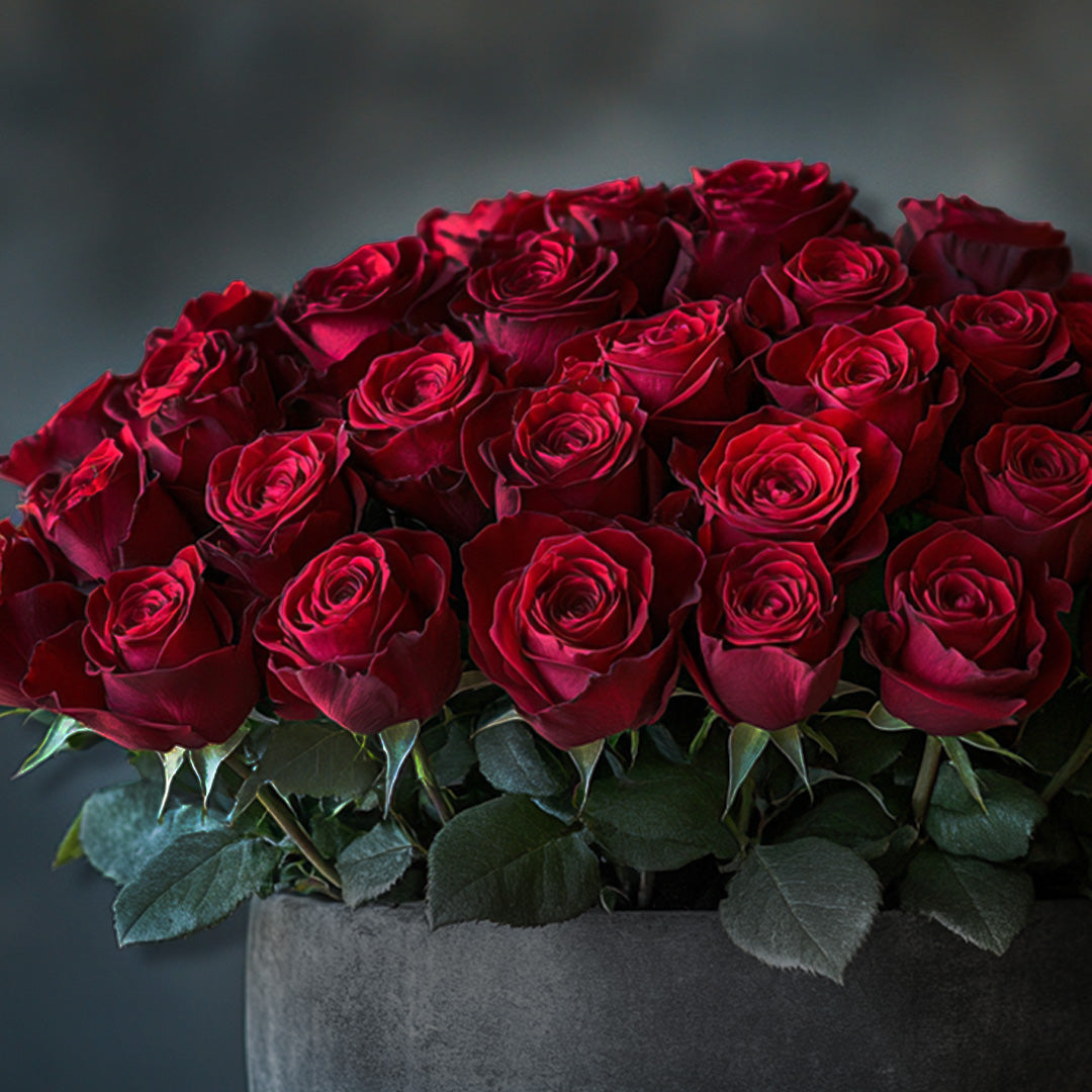 Luxury red rose arrangement in matte black velvet box – romantic floral gift for Valentine's Day, Mother's Day, anniversary or elegant home decor