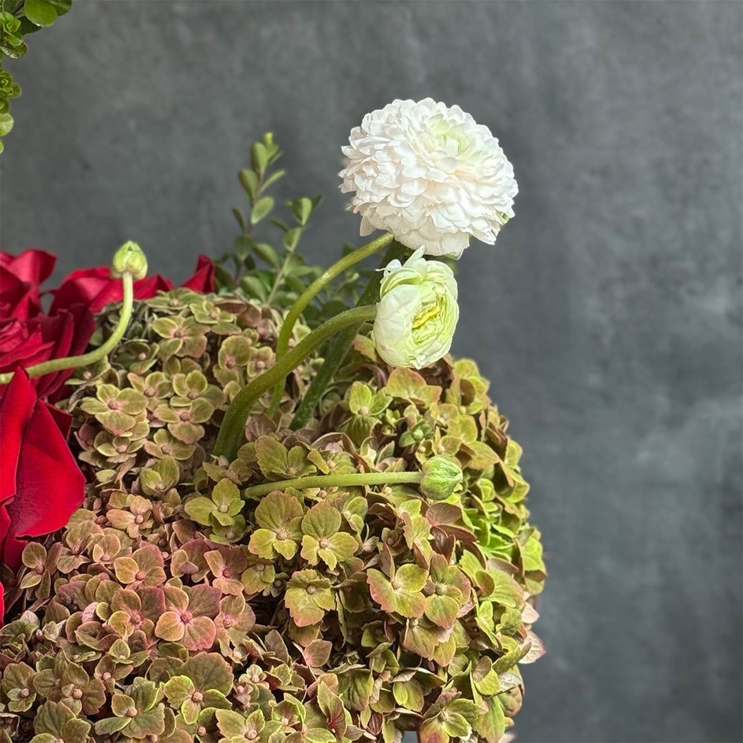 A close-up shot of soft white ranunculus flowers and rich greenery, complemented by vibrant red roses and elegant hydrangea. A perfect floral combination for a refined and romantic gift, ideal for special occasions.